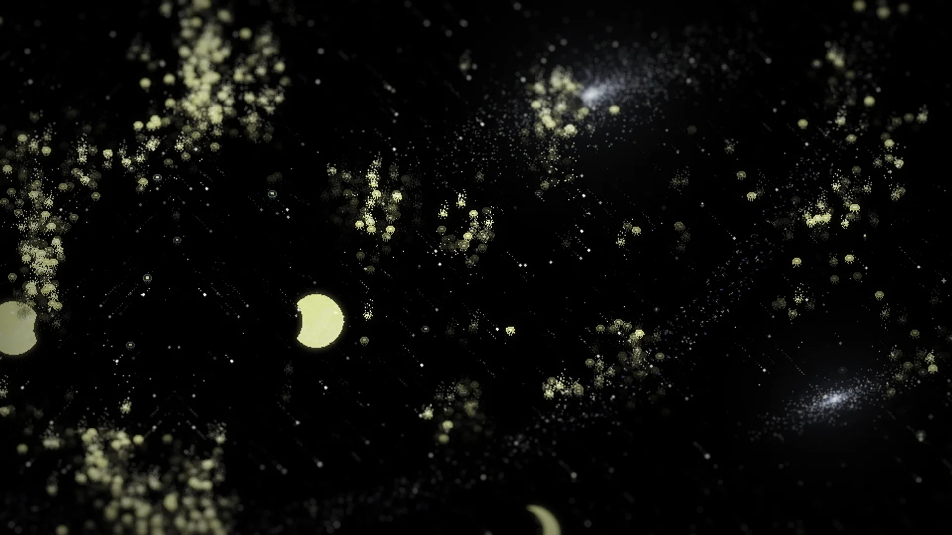 星つぶ屋 記録写真